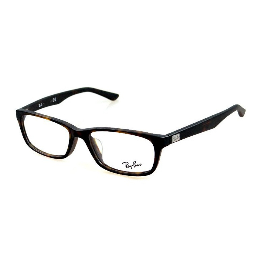RAY-BAN 5303D F-RAY 5303D-5211(54CN)