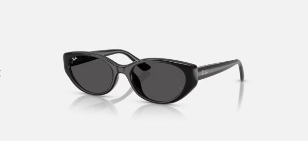 Kính mắt Rayban RB4457D-6677/87