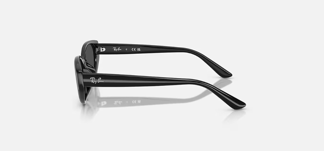 Kính mắt Rayban RB4457D-6677/87 - Ảnh 2