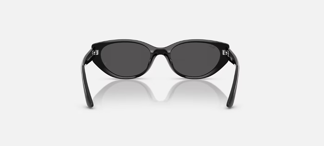 Kính mắt Rayban RB4457D-6677/87 - Ảnh 3