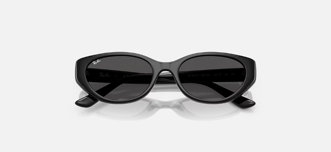 Kính mắt Rayban RB4457D-6677/87 - Ảnh 4