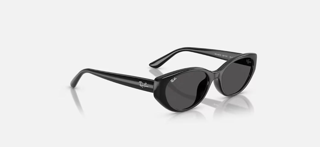 Kính mắt Rayban RB4457D-6677/87 - Ảnh 6