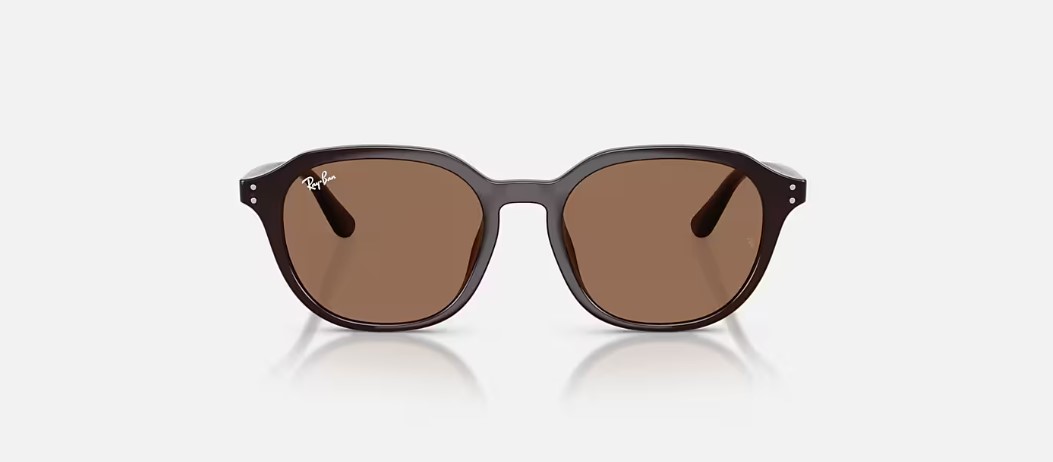 Kính mắt Rayban RB4459D - Ảnh 2