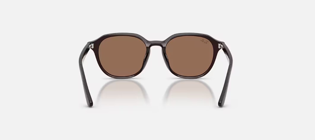 Kính mắt Rayban RB4459D - Ảnh 5